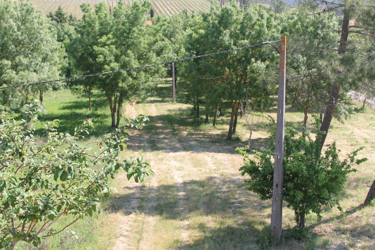 Herdade Dos Templarios Tomar Buitenkant foto